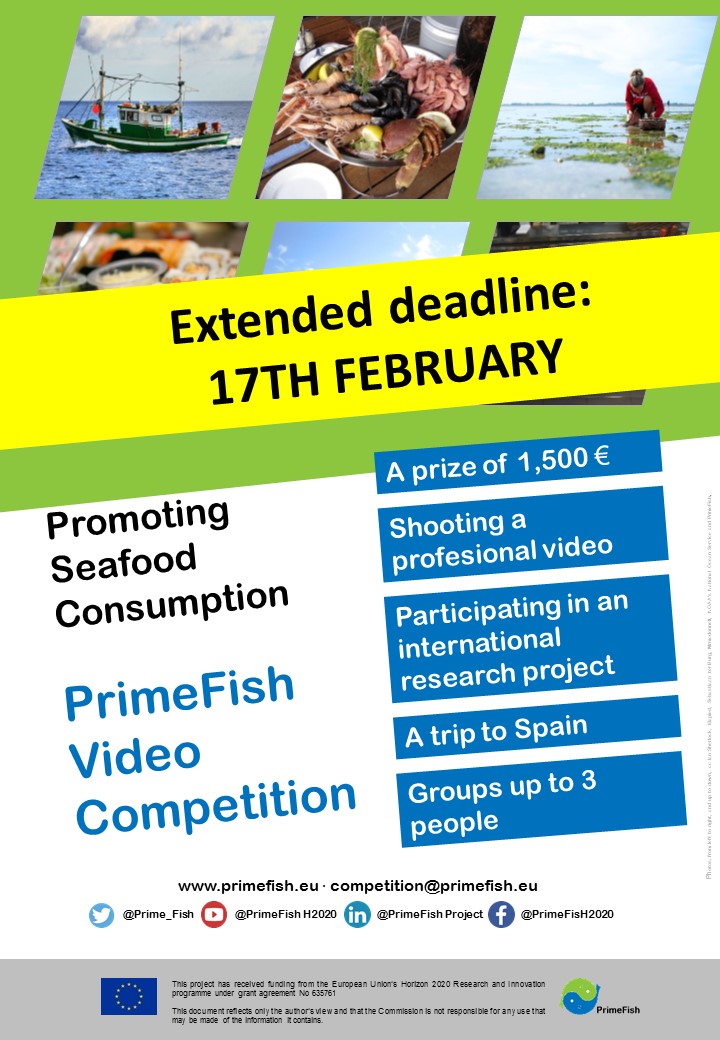 PrimeFish Call Short Films Extended deadline.